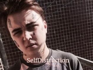 SelfDistruction