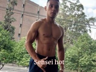 Sensei_hot