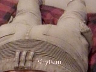 ShyFem