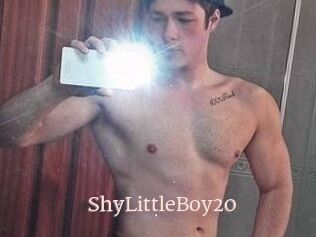 ShyLittleBoy20