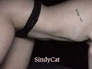 SindyCat