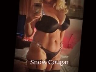 Snow_Cougar