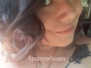 SparrowSoars