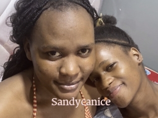 Sandycanice