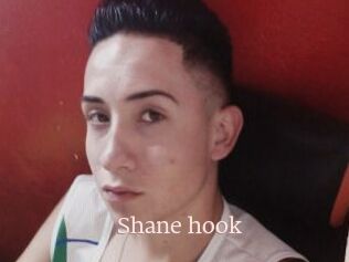 Shane_hook