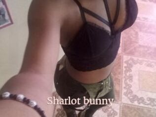 Sharlot_bunny