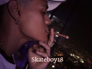 Skateboy18