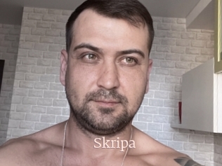 Skripa