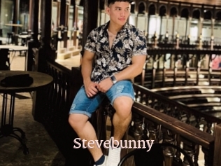 Stevebunny