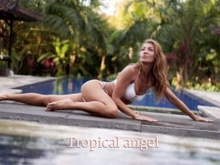 Tropical_angel