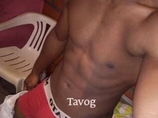 Tavog