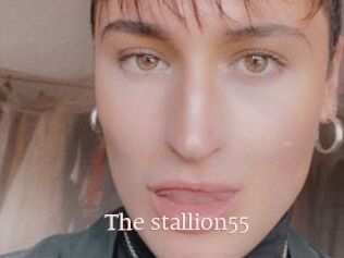 The_stallion55