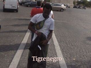 Tigrenegro