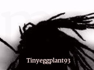 Tinyeggplant93