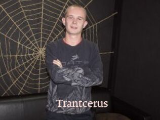 Trantcerus