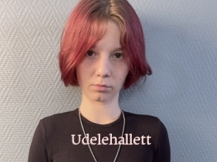 Udelehallett