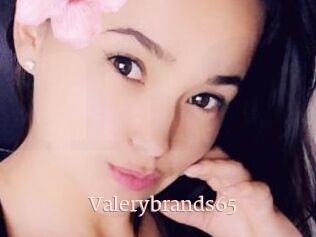 Valerybrands65