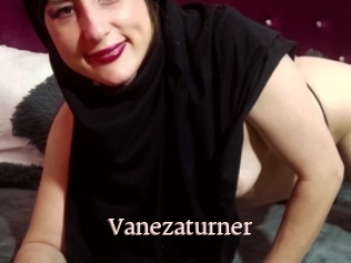 Vanezaturner