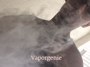 Vapor_genie