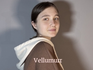 Vellumurr