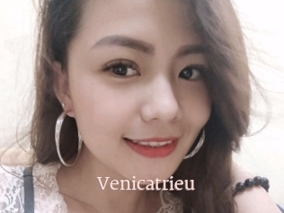 Venicatrieu