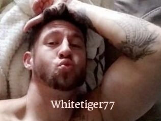 Whitetiger77