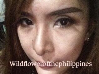 Wildflowerofthephilippines