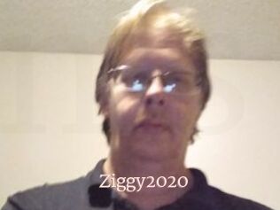 Ziggy2020